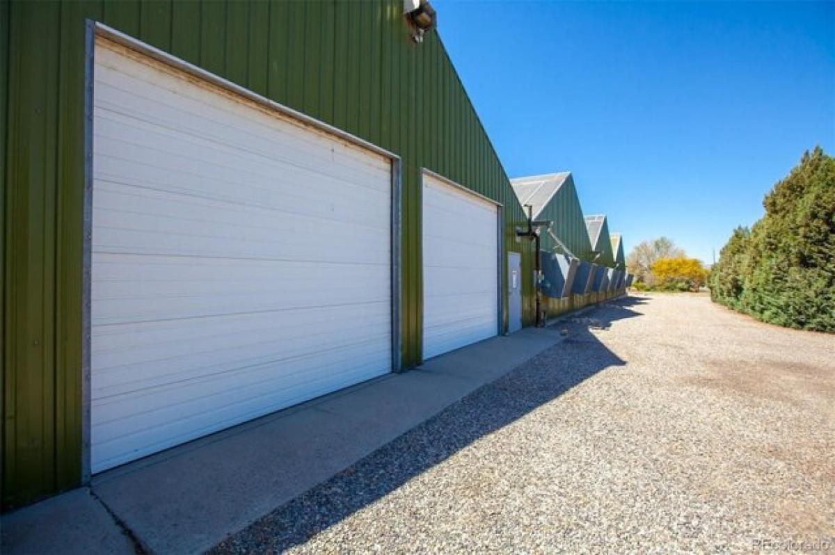  Land in Palisade, USA No. 476013