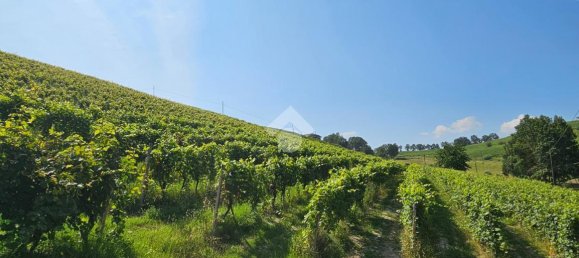 6 rooms Villa in Nizza Monferrato, Italy No. 110515 2