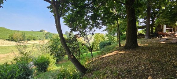 6 rooms Villa in Nizza Monferrato, Italy No. 110515 12