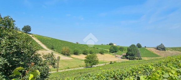 6 rooms Villa in Nizza Monferrato, Italy No. 110515 25