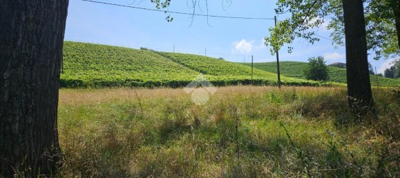 6 rooms Villa in Nizza Monferrato, Italy No. 110515 26