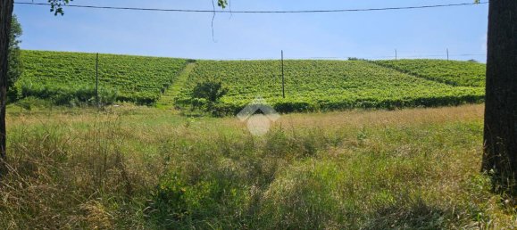 6 rooms Villa in Nizza Monferrato, Italy No. 110515 30