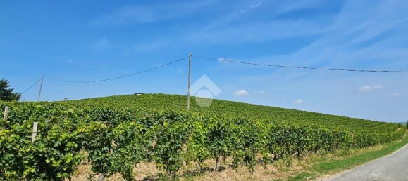 6 rooms Villa in Nizza Monferrato, Italy No. 110515 27