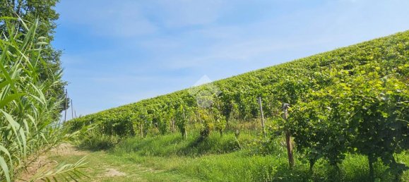 6 rooms Villa in Nizza Monferrato, Italy No. 110515 24