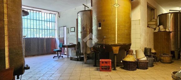 6 rooms Villa in Nizza Monferrato, Italy No. 110515 6