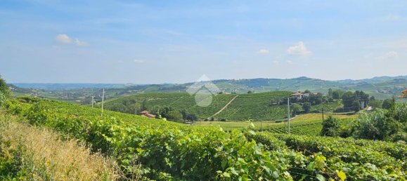 6 rooms Villa in Nizza Monferrato, Italy No. 110515 29