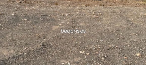 Land in Tuineje, Spain No. 76300 9