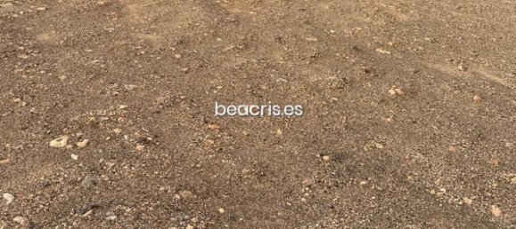 Land in Tuineje, Spain No. 76300 13