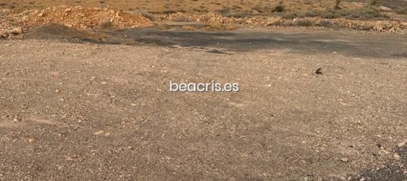 Land in Tuineje, Spain No. 76300 3