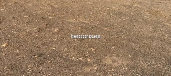 Land in Tuineje, Spain No. 76300 10