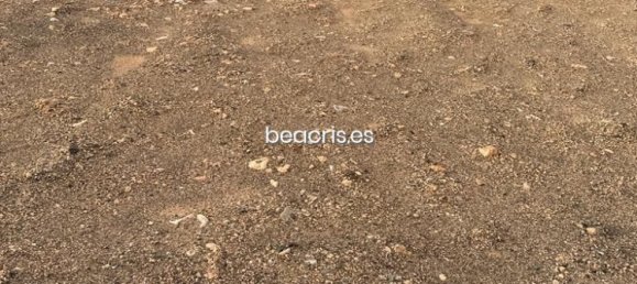 Land in Tuineje, Spain No. 76300 5