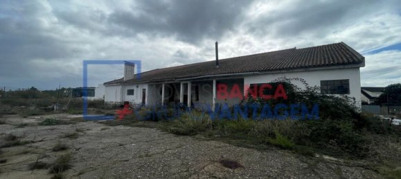 593m² Warehouse in Avis, Portugal No. 13189 9