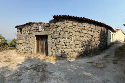 226m² Commercial property in Lanhoso, Portugal No. 272998