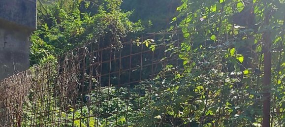 3 غرف نوم شقة في Pozzuoli, Italy رقم 378264 2