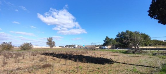 5295m² Land in Miggiano, Italy No. 59695 3