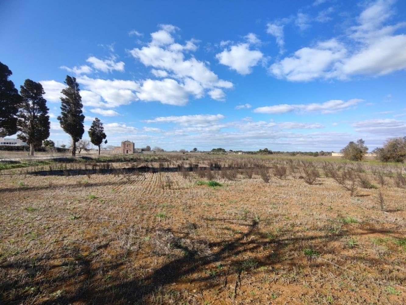 5295m² Land in Miggiano, Italy No. 59695