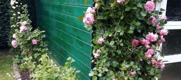 3-Zimmer Bungalow in Soest, Germany, Nr. 312929 3