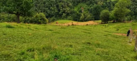 Terreno en Laviana, Spain 8122 m² No. 164513 7