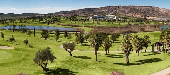 3 غرف نوم فيلا في Algorfa, Spain رقم 10125 4