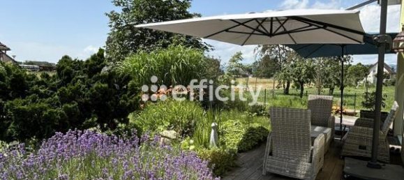 4 Schlafzimmer Haus in Niederhergheim, France, Nr. 51799 3