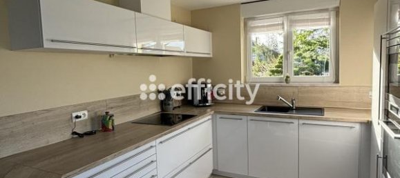 4 Schlafzimmer Haus in Niederhergheim, France, Nr. 51799 10