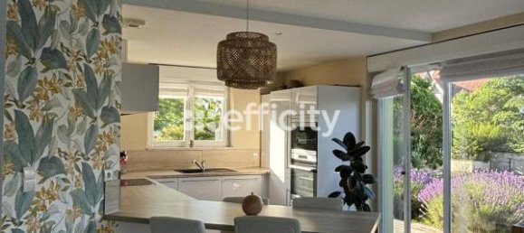 4 Schlafzimmer Haus in Niederhergheim, France, Nr. 51799 9