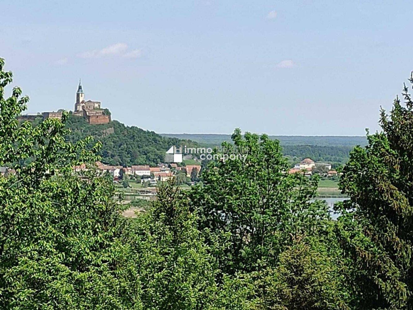 Дом с 4 комнатами в Гюссинг, Австрия № 165434