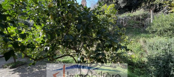 Дом с 3 спальнями в Феличето, Франция № 161081 11