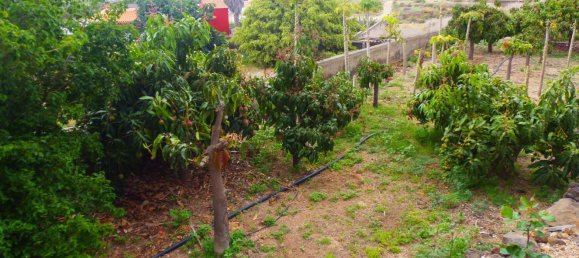 4 bedrooms House in Guimar, Spain No. 40497 9