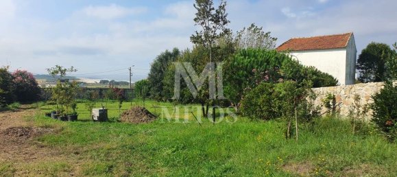 2100m² Land in Viana do Castelo, Portugal No. 80725 9