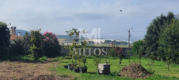 2100m² Land in Viana do Castelo, Portugal No. 80725 5