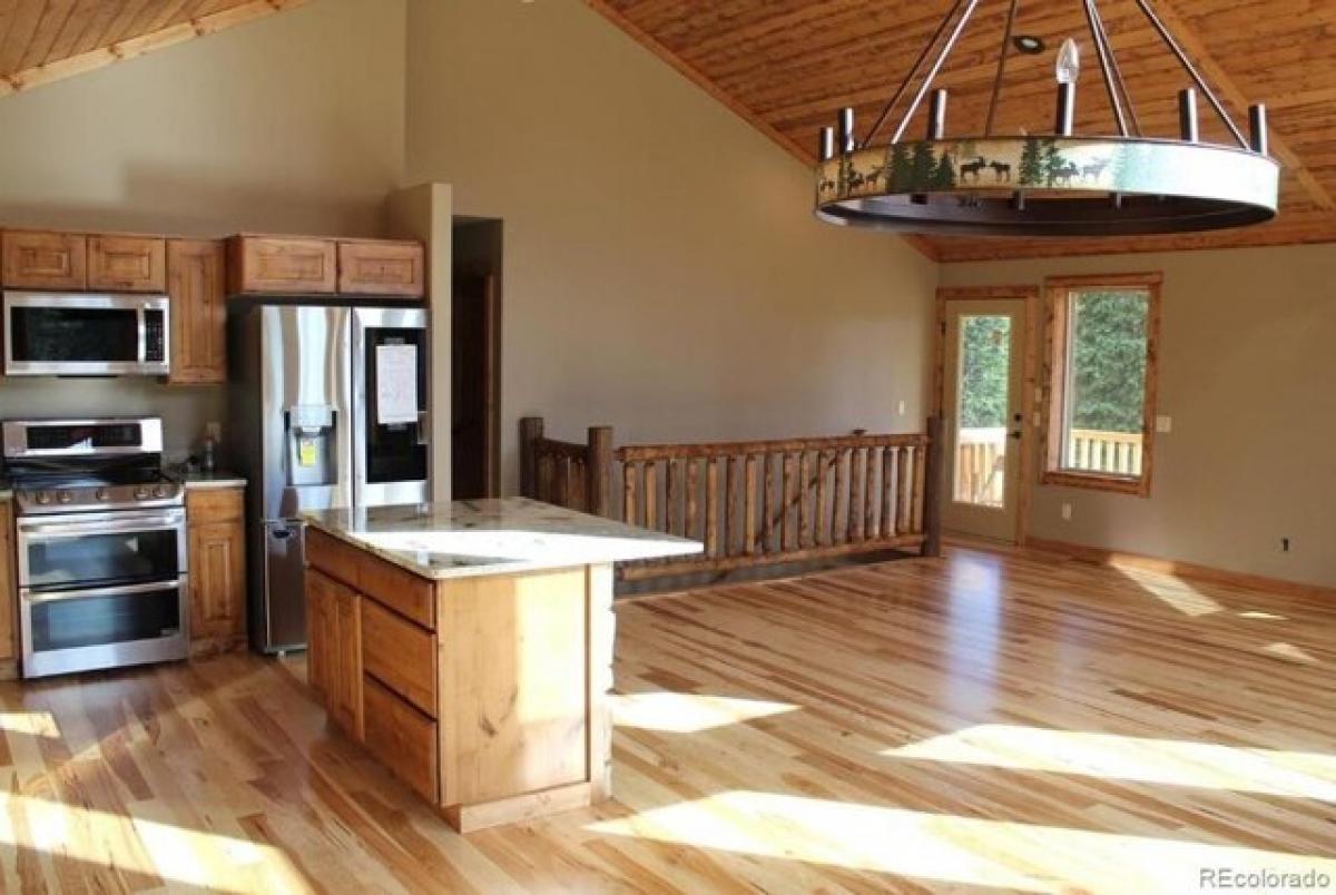 3 bedrooms House in Fairplay, USA No. 440284