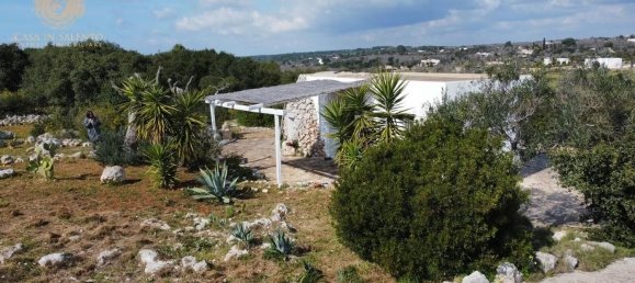 2-Zimmer Haus in Salve, Italy, Nr. 59364 11