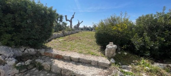 2-Zimmer Haus in Salve, Italy, Nr. 59364 7