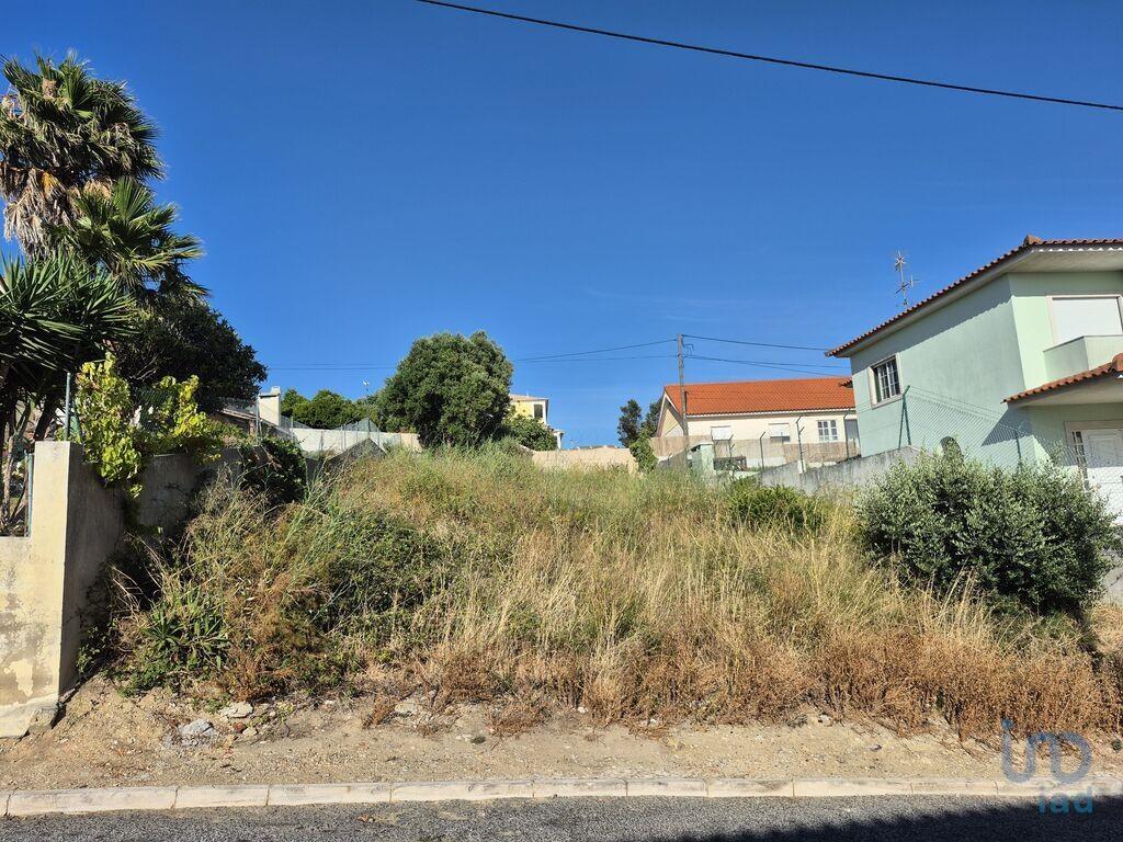 Terrain à Cascais, Portugal 378m² No. 208856