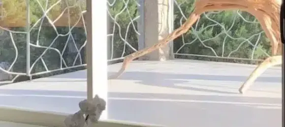 Villa de 4 dormitorios en Arzachena, Italy No. 64908 18