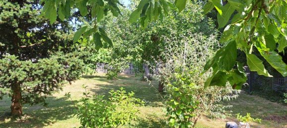 Casa de 5 habitaciónes en Spielberg, Austria No. 204238 16