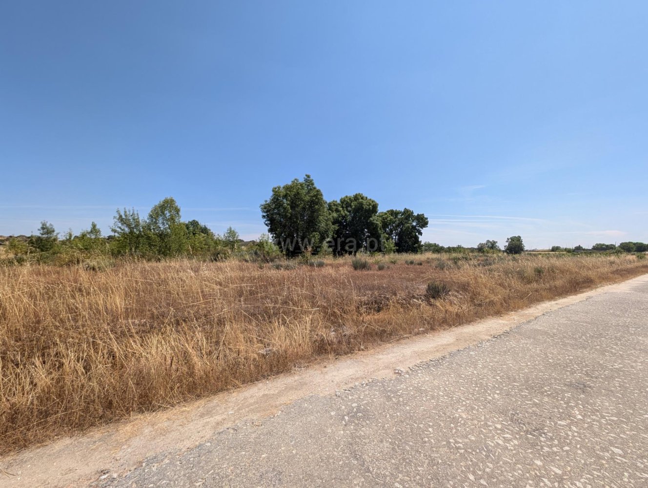 Terreno em Mêda, Portugal N.º 324567