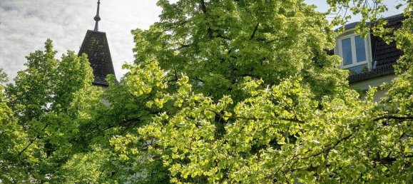 2-Zimmer Wohnung in Tegel, Germany, Nr. 15786 19