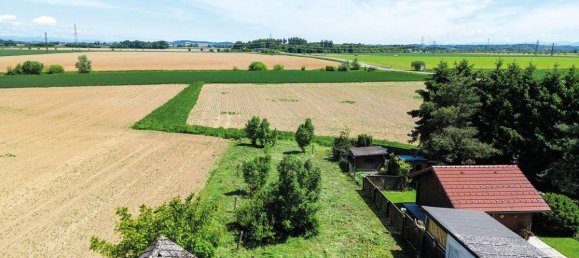 Terrain à Hargelsberg, Austria No. 136348 3