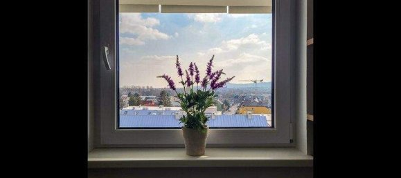 3 rooms Apartment in Brunn am Gebirge, Austria No. 90305 6