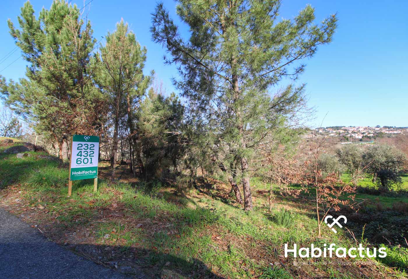  Land in Viseu, Portugal No. 66510