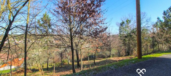  Land in Viseu, Portugal No. 66510 4