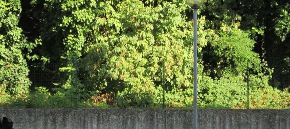 3 غرف نوم بانتهاوس في Casalmaggiore, Italy رقم 361972 11