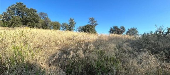 Земельный участок 302м² в Ллика де Валь, Испания № 157255 8