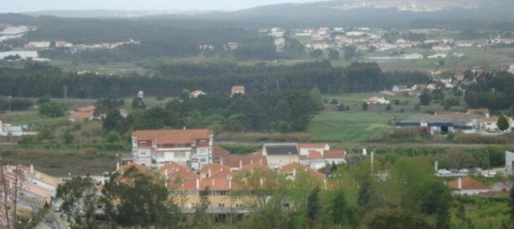 9000m² Land in Caldas da Rainha, Portugal No. 255001 3