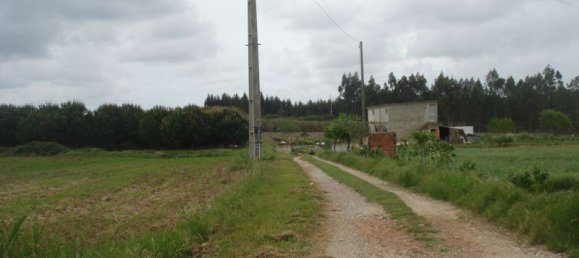 9000m² Land in Caldas da Rainha, Portugal No. 255001 4