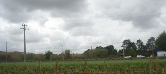 9000m² Land in Caldas da Rainha, Portugal No. 255001 2