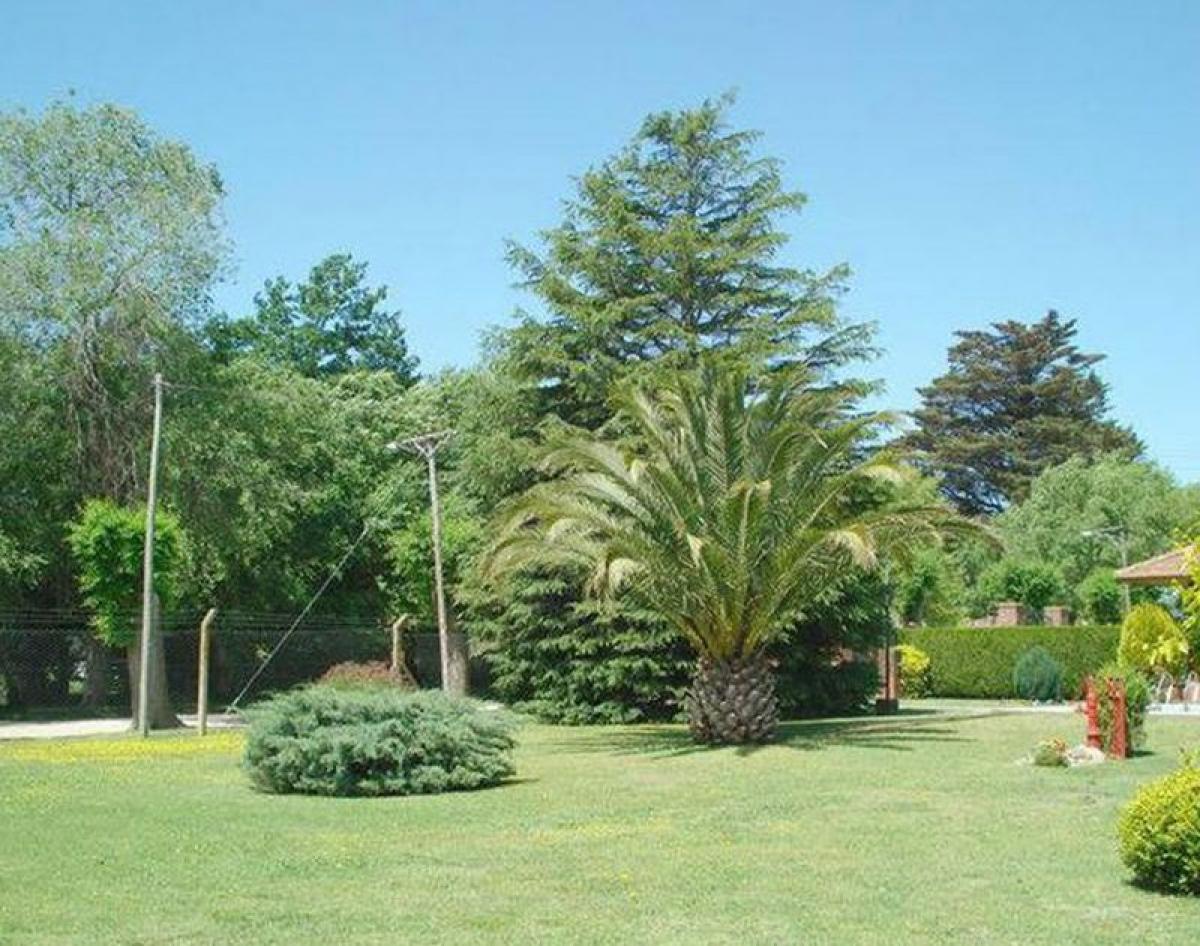 Grundstück in Mar del Plata, Argentina, Nr. 115824