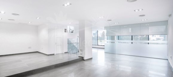 250m² Building in Marbella, Spain No. 117422 4